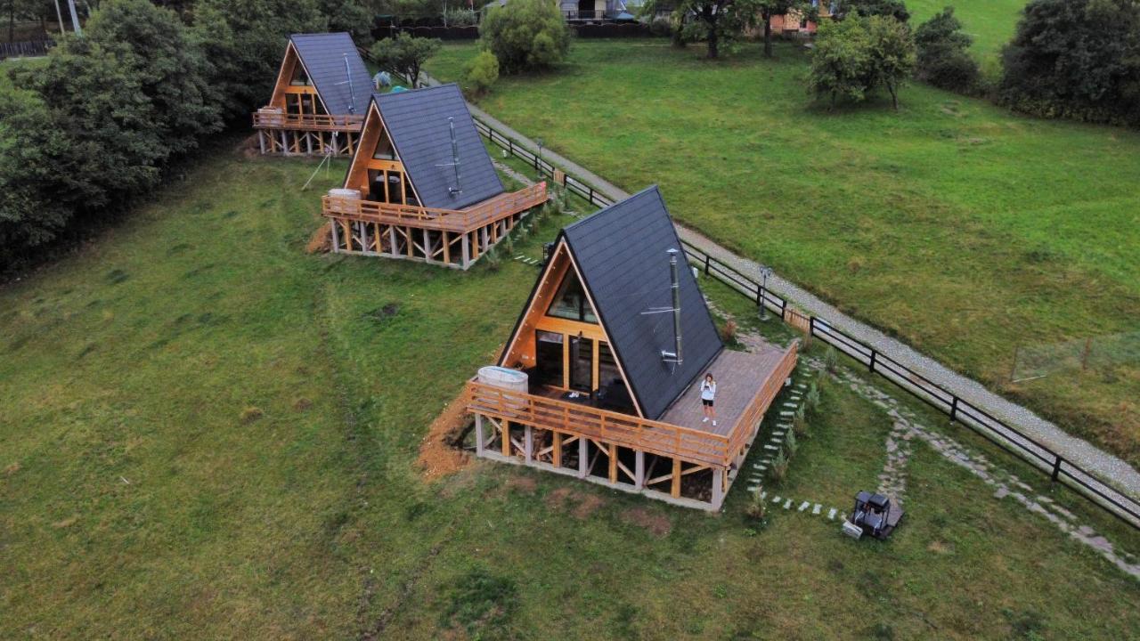 Cabana 365 Braşov Eksteriør bilde