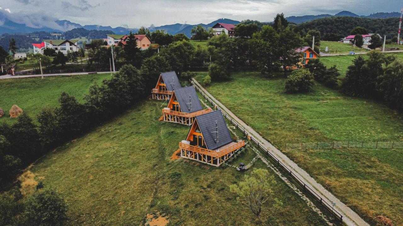 Cabana 365 Braşov Eksteriør bilde